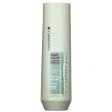Sampon pentru Par Vopsit - Goldwell Dualsenses Green True Color Sulphate-Free Shampoo 250 ml